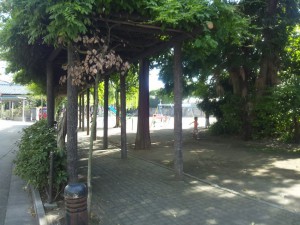 真福寺公園